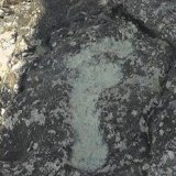 � ��������, �������, ������� ������� ��� �������� ����� ������������� (����)