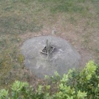 � �������� ������ ������������ ��������� ����� � ���������� �����-������������