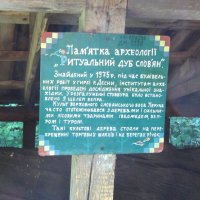 ϳ� ����� ����������� ��������� ���������� ������� - ��� ������ VIII ��.