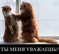 Сайт УПЦ: священники ввязались в перепалку с подвыпившим чиновником – дело едва не дошо до драки