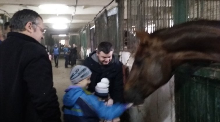 Римо-католики започаткували для львів