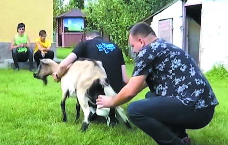 Священник ПЦУ катає на джипі козу для кращих надоїв
