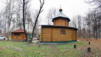 Дерево вбило дружину священника на хресному ході в Києві